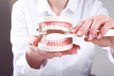 The image shows a person s hand holding a dental model with an open mouth, demonstrating a dental procedure or tool.