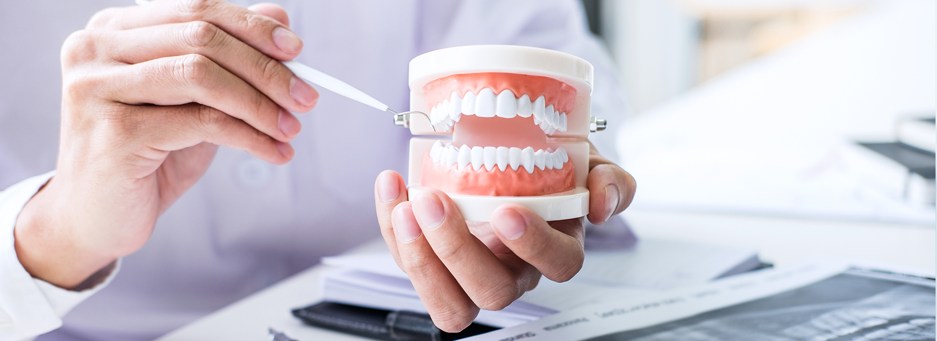 A person holding a toothbrush with toothpaste while examining a model mouth in a dental office setting.